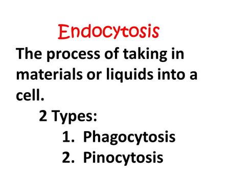 Endocytosis The process of taking in materials or liquids into a cell