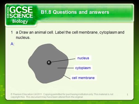 © Pearson Education Ltd 2011. Copying permitted for purchasing institution only. This material is not copyright free. This document may have been altered.