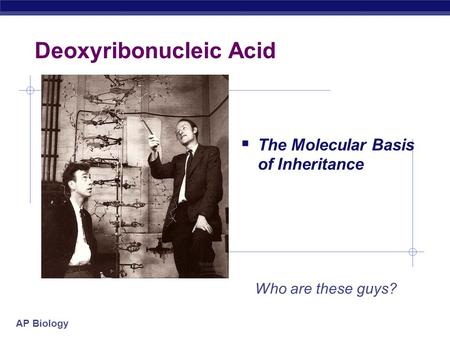 Deoxyribonucleic Acid