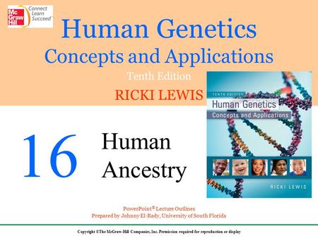 Human Evolution The fossil record is incomplete but provides evidence to the events in human evolution DNA analysis provides additional information Species.