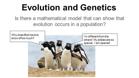 Evolution and Genetics