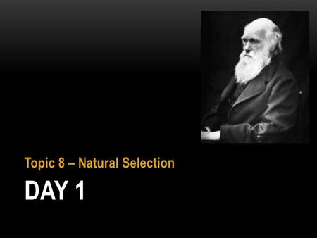 Topic 8 – Natural Selection