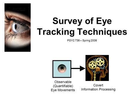 Survey of Eye Tracking Techniques