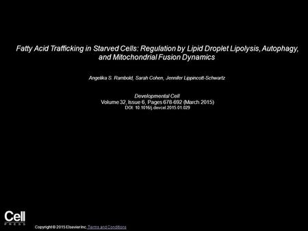 Fatty Acid Trafficking in Starved Cells: Regulation by Lipid Droplet Lipolysis, Autophagy, and Mitochondrial Fusion Dynamics  Angelika S. Rambold, Sarah.