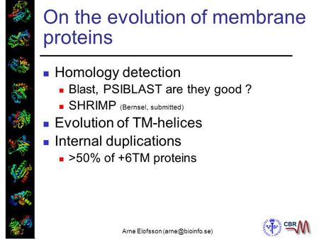 Arne Elofsson On the evolution of membrane proteins Homology detection Blast, PSIBLAST are they good ? SHRIMP (Bernsel, submitted) Evolution.