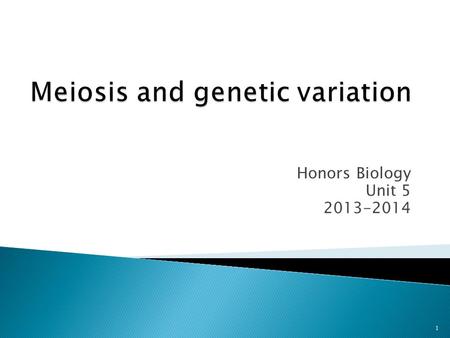 Meiosis and genetic variation