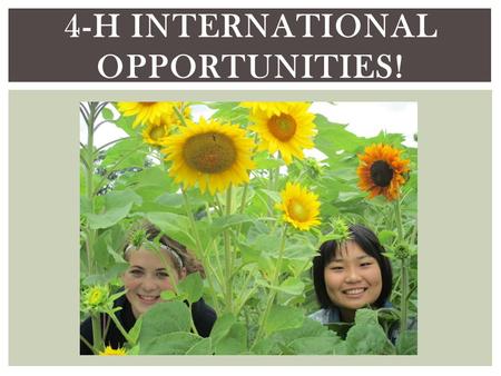 4-H INTERNATIONAL OPPORTUNITIES!. HOSTING Month-long Summer Hosting o Argentina o Finland o Japan o Mexico o Norway o South Korea.