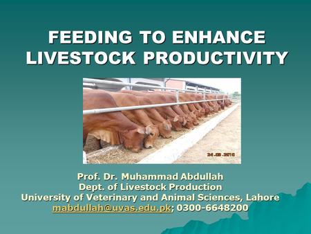 FEEDING TO ENHANCE LIVESTOCK PRODUCTIVITY