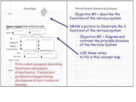 Objective #1 = describe the functions of the nervous system