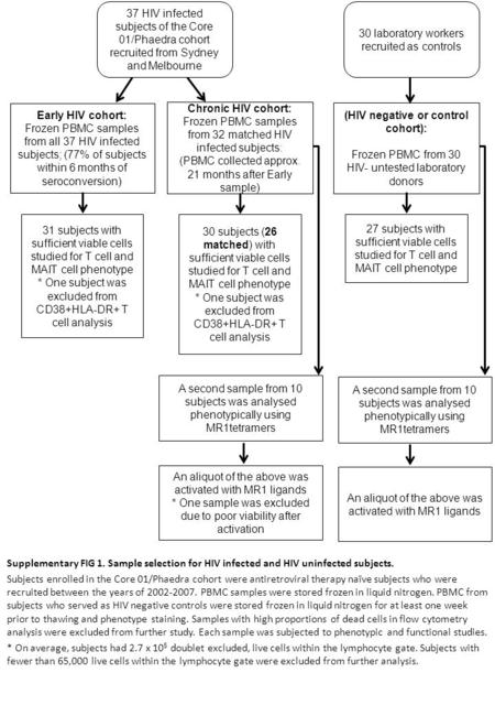 31 subjects with sufficient viable cells studied for T cell and MAIT cell phenotype * One subject was excluded from CD38+HLA-DR+ T cell analysis 30 subjects.