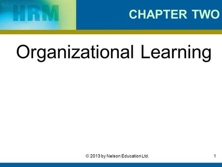 Organizational Learning