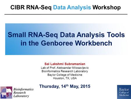 Small RNA-Seq Data Analysis Tools in the Genboree Workbench Sai Lakshmi Subramanian Lab of Prof. Aleksandar Milosavljevic Bioinformatics Research Laboratory.