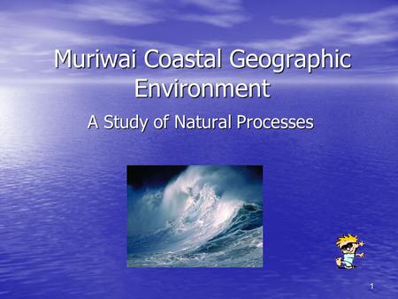 Muriwai Coastal Geographic Environment