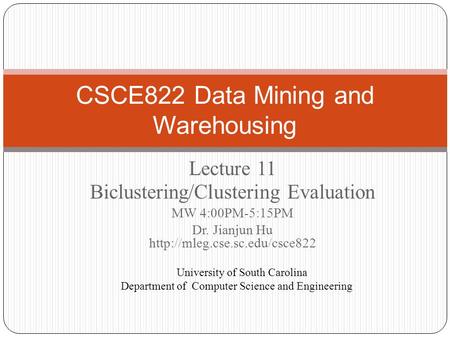 CSCE822 Data Mining and Warehousing