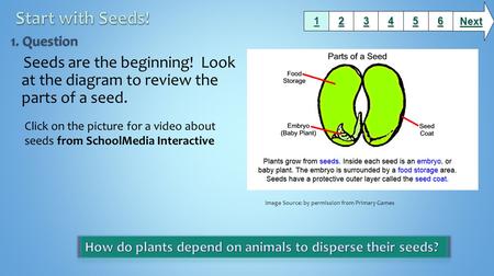 Start with Seeds! 1. Question