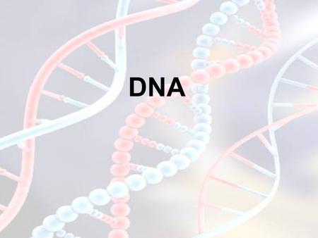 DNA. RECALL … 4 classes of macromolecules –Carbohydrates –Lipids –Proteins –NUCLEIC ACIDS!!! –Subunit (Building Blocks): NUCLEOTIDES.