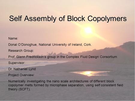 Self Assembly of Block Copolymers Name: Donal O’Donoghue, National University of Ireland, Cork. Research Group: Prof. Glenn Fredrickson’s group in the.