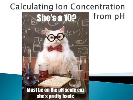 She’s a 10? Must be on the pH scale cuz she’s pretty basic.