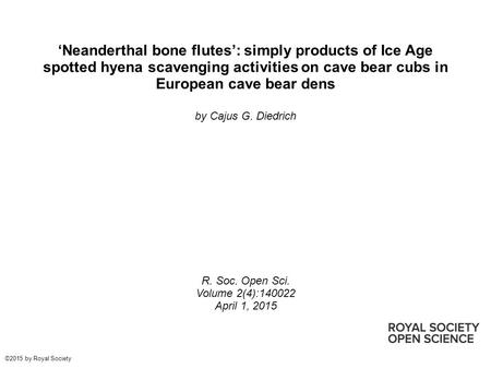 ‘Neanderthal bone flutes’: simply products of Ice Age spotted hyena scavenging activities on cave bear cubs in European cave bear dens by Cajus G. Diedrich.