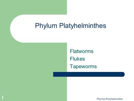 Phylum Platyhelminthes 1 Flatworms Flukes Tapeworms.