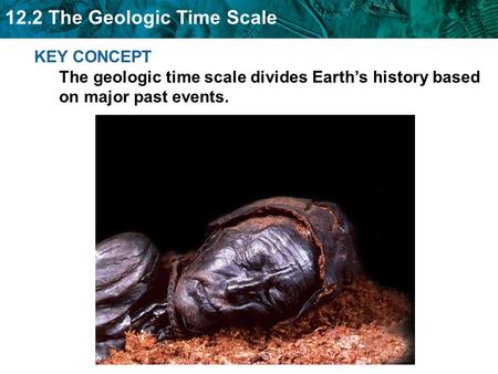 Index fossils are another tool to determine the age of rock layers.