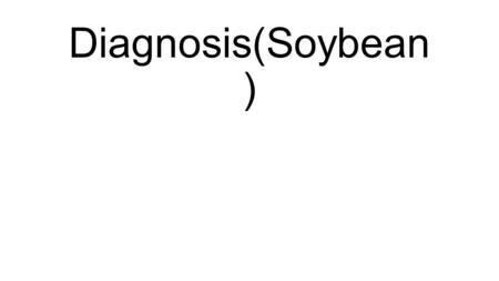 Diagnosis(Soybean ). Target legumes: Soybean(to be selected) Kersa Project sites (Woredas) :- Kersa Oromia - Work Plan, Team, Roles and Responsibilities.