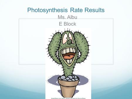 Photosynthesis Rate Results Ms. Albu E Block. Results - The effect of leaf type on rate of leaf disk floats (Spinach vs. Asian Pear) Hypothesis: If oxygen.