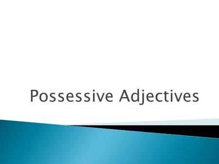 Possessive Adjectives