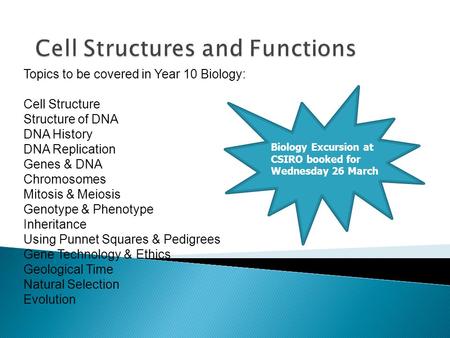 Cell Structures and Functions