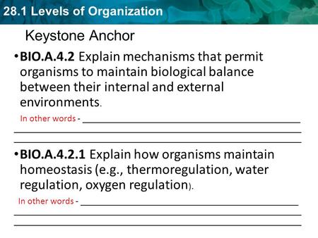 Keystone Anchor BIO.A.4.2 Explain mechanisms that permit organisms to maintain biological balance between their internal and external environments.