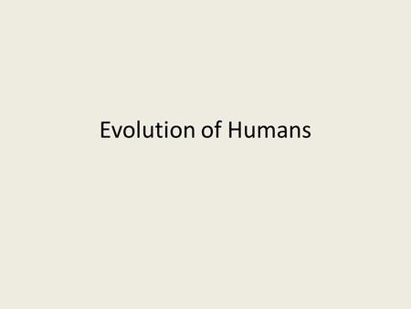 Evolution of Humans. Australopithecus Ape like humans 2 legs Africa Trees No language No Tools Lucy is the oldest fossil we have found.