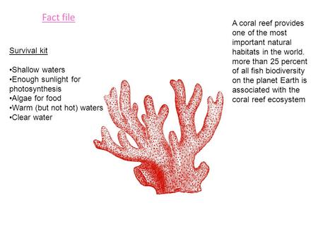 Fact file Survival kit Shallow waters Enough sunlight for photosynthesis Algae for food Warm (but not hot) waters Clear water A coral reef provides one.