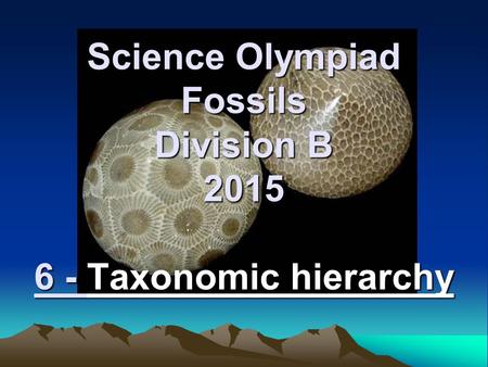 Science Olympiad Fossils Division B Taxonomic hierarchy