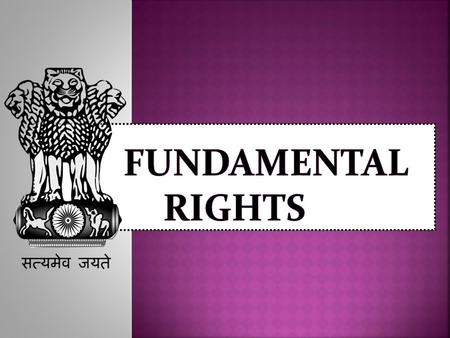 FuNdAmEnTal RiGHts.