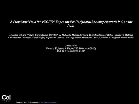 A Functional Role for VEGFR1 Expressed in Peripheral Sensory Neurons in Cancer Pain Deepitha Selvaraj, Vijayan Gangadharan, Christoph W. Michalski, Martina.