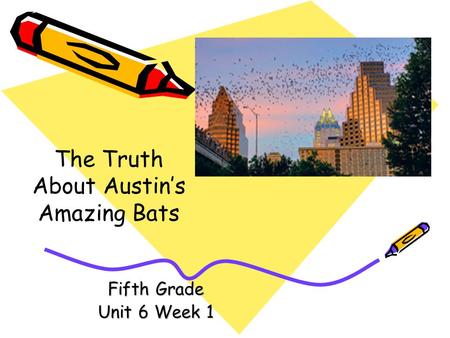 The Truth About Austin’s Amazing Bats