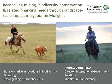 Reconciling mining, biodiversity conservation & related financing needs through landscape- scale impact mitigation in Mongolia Transformative Innovations.