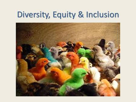 Diversity, Equity & Inclusion