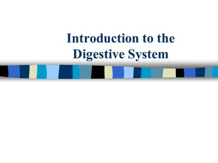 Introduction to the Digestive System