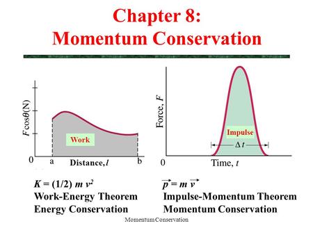 Chapter 8: Momentum Conservation