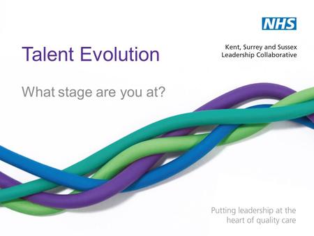 Talent Evolution What stage are you at?. Finding your position We’d like you to think about your organisation and ask yourself: –Do we have a strategic.