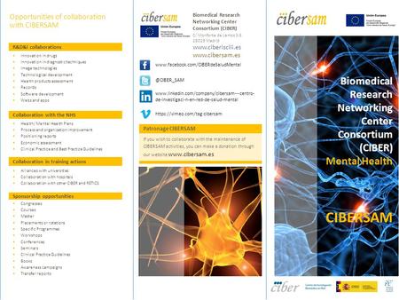 Biomedical Research Networking Center Consortium (CIBER) Opportunities of collaboration with CIBERSAM R&D&I collaborations  Innovation in drugs  Innovation.