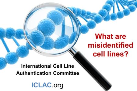 What are misidentified cell lines? International Cell Line Authentication Committee ICLAC.org.