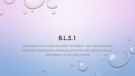 8.L.5.1 Summarize how food provides the energy and the molecules required for building materials, growth and survival of all organisms (to include plants)