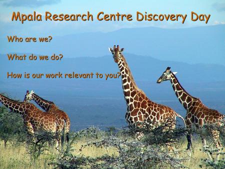 Mpala Research Centre Discovery Day Who are we? What do we do? How is our work relevant to you?