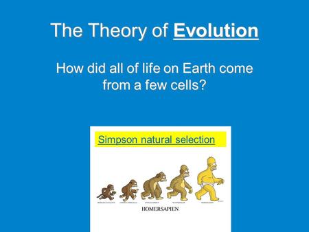 The Theory of Evolution