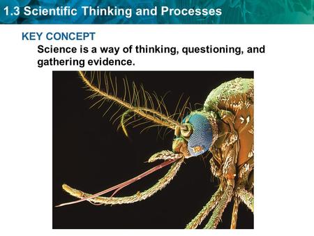 Biologists use experiments to test hypotheses.