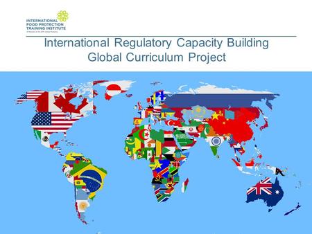 International Regulatory Capacity Building Global Curriculum Project.