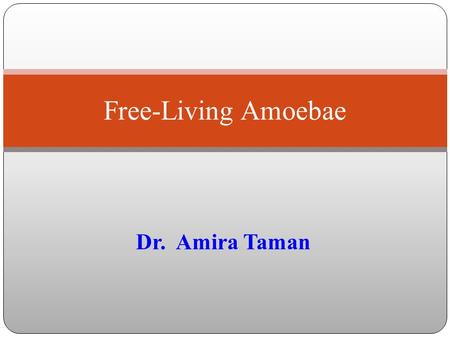 Free-Living Amoebae Dr. Amira Taman.