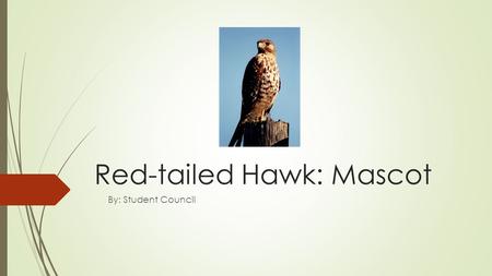 Red-tailed Hawk: Mascot By: Student Council. Meaning of the Red-tailed Hawk The Red-tailed Hawk has many symbolic meanings, such as:  The ability to.